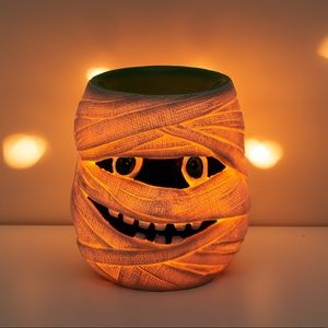 Under Wraps Scentsy Warmer